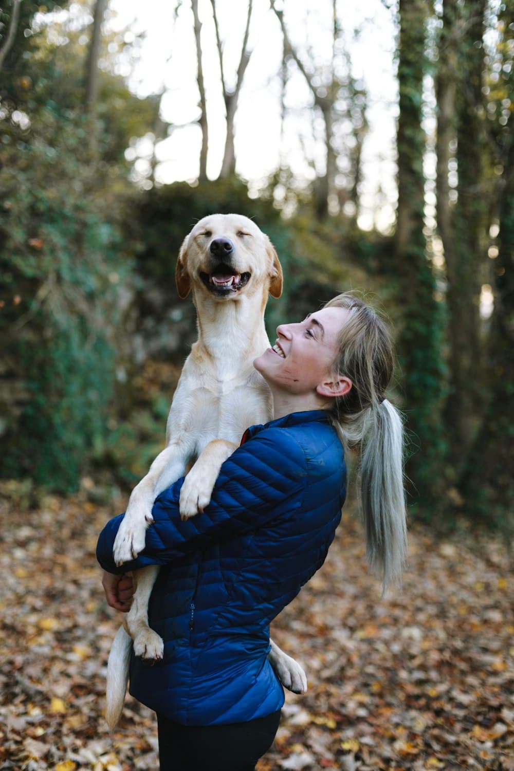 Human connecting with dog