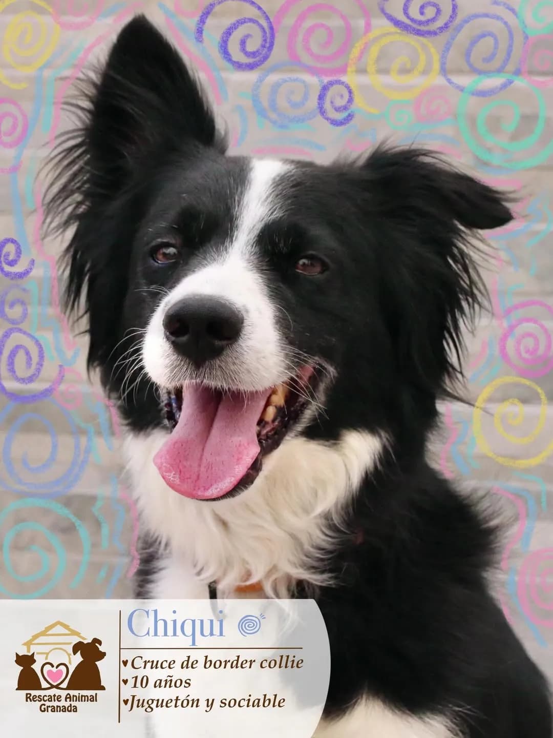 Chiqui