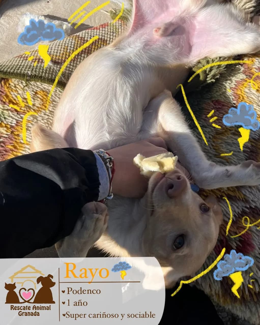 Rayo