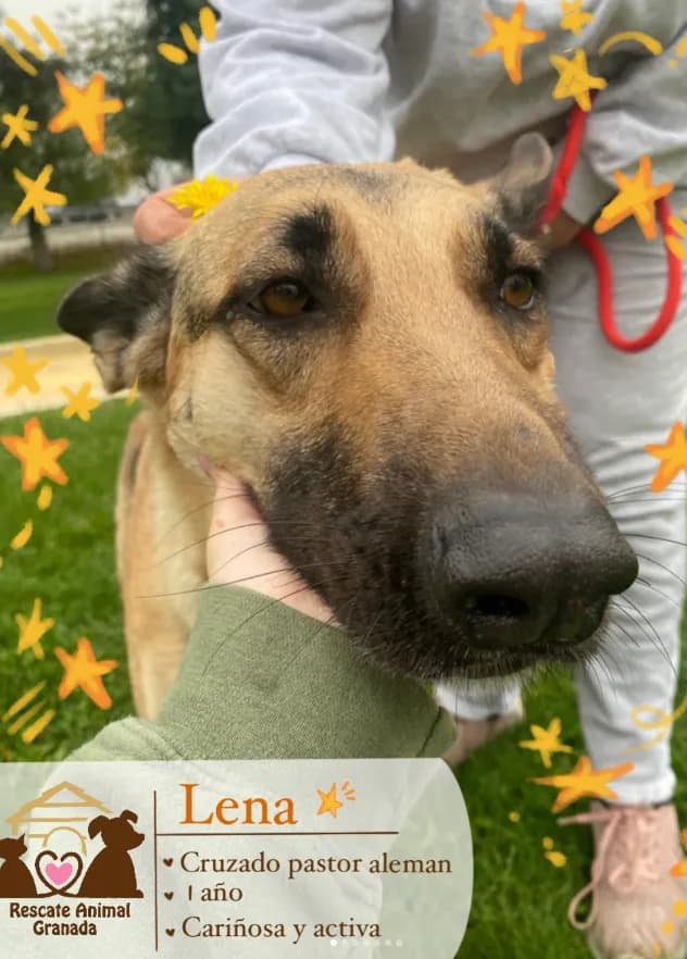 Lena